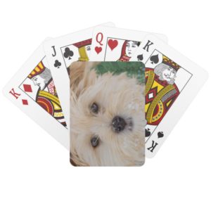 Snowflake Puppy Playing Cards