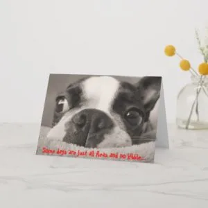 Some days are just all fleas and no kibble card