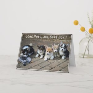 Some Pose, Some Don't ~ Corgi Puppies in a Row Card