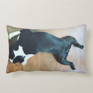 Splat Boston Terrier Lumbar Pillow