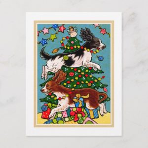 Springer Spaniel Christmas Postcard