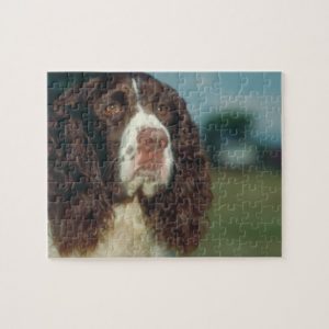 Springer Spaniel Dog Puzzle