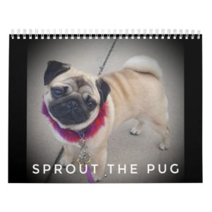 Sprout The Pug Calendar 2019