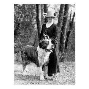 St Bernard & Boston Terrier, 1925 Postcard