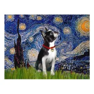 Starry Night - Boston T (2rc) Postcard