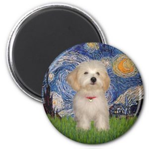Starry Night - Havanese Puppy Magnet