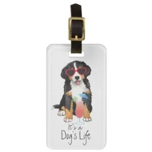 Summer Bernese Mountain Dog Bag Tag