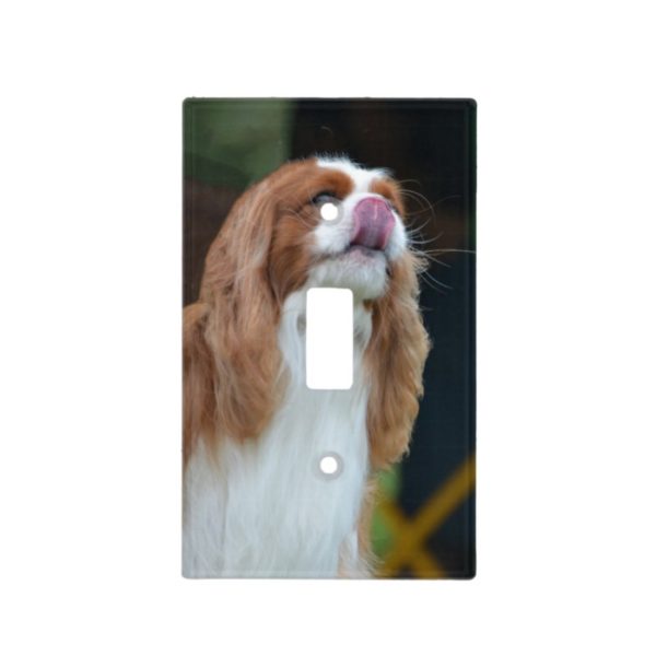 Sweet Cavalier King Charles Spaniel Light Switch Cover