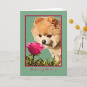 Sympathy, Pet, Pomeranian Dog and Rose Card