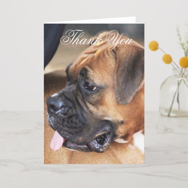 Thank You Boxer dog greeting card