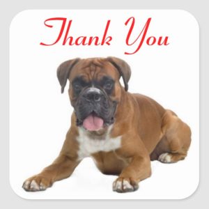 Thank You Boxer Puppy Dog Greeting Sticker