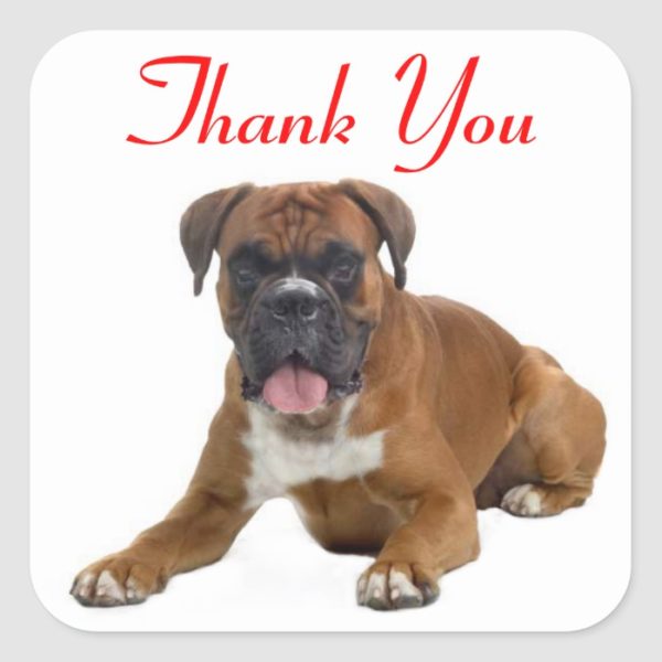 Thank You Boxer Puppy Dog Greeting Sticker