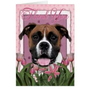 Thank You - Boxer - Vindy