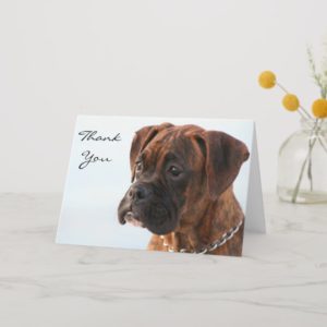 Thank You Brindle boxer puppy greeting card