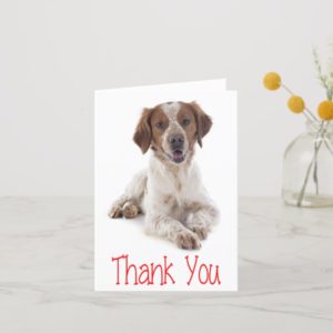 Thank You Brittany Spaniel Puppy Dog Card