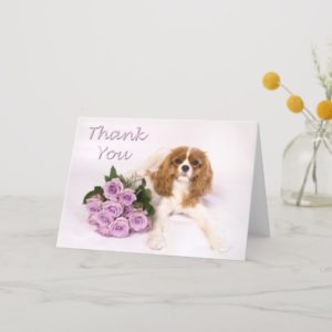 Thank You Cavalier King Charles Spaniel Roses