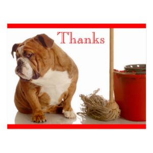Thank You English Bulldog Pup Greeting Postcard