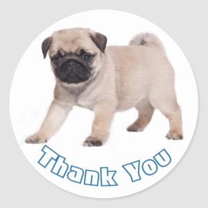 Thank You Pug Puppy Dog Sticker / Seal