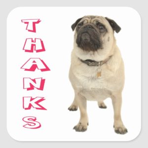 Thank You Pug Puppy Dog Stickers / Seals