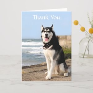 Thank  You Siberian Husky on Beach Greeting  Card