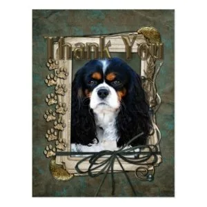 Thank You - Stone Paws - Cavalier Postcard