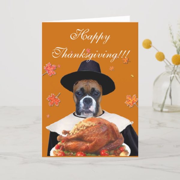 Thanksgiving boxer dog greeting card