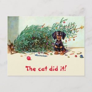 The cat did it! Funny Christmas naughty dachshund Holiday Postcard