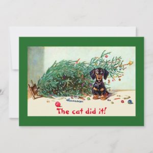 The cat did it! Funny Humorous Christmas Dachshund Holiday Card