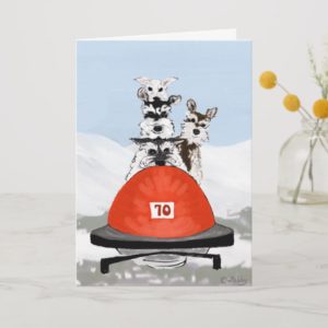 The Schnauzer Bobsleighing Team Holiday Card