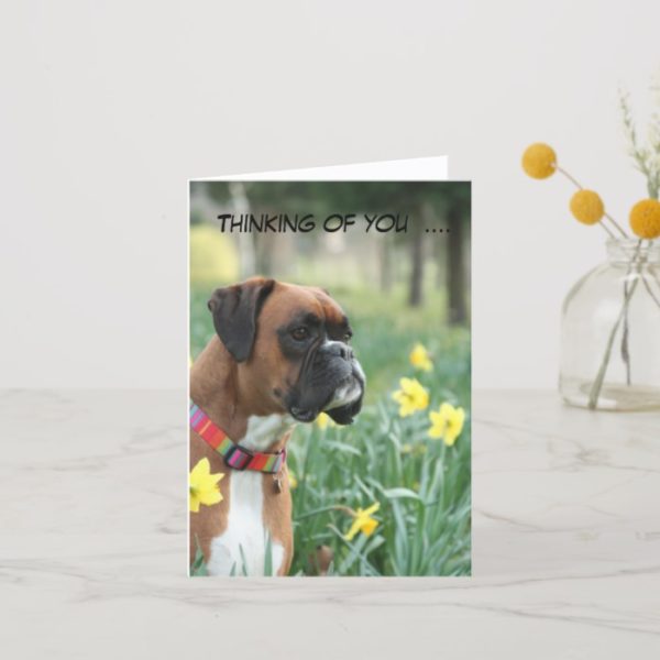 Thinking of you boxer dog greetings card