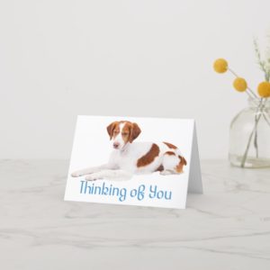 Thinking Of You Brittany Spaniel Puppy Dog Card
