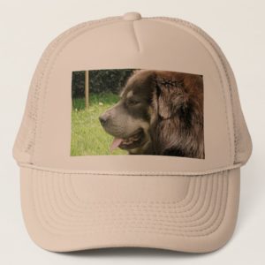 tibetan mastiff.png trucker hat