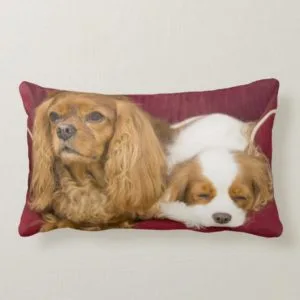 Tired Cavalier King Charles Spaniels Lumber Pillow
