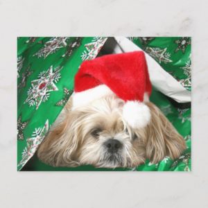 Tired Christmas Shih Tzu Holiday Postcard