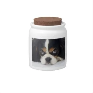 Tri-Colored Cavalier Spaniel Candy Jar