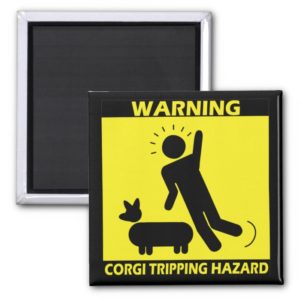 Tripping Hazard - Corgi Magnet