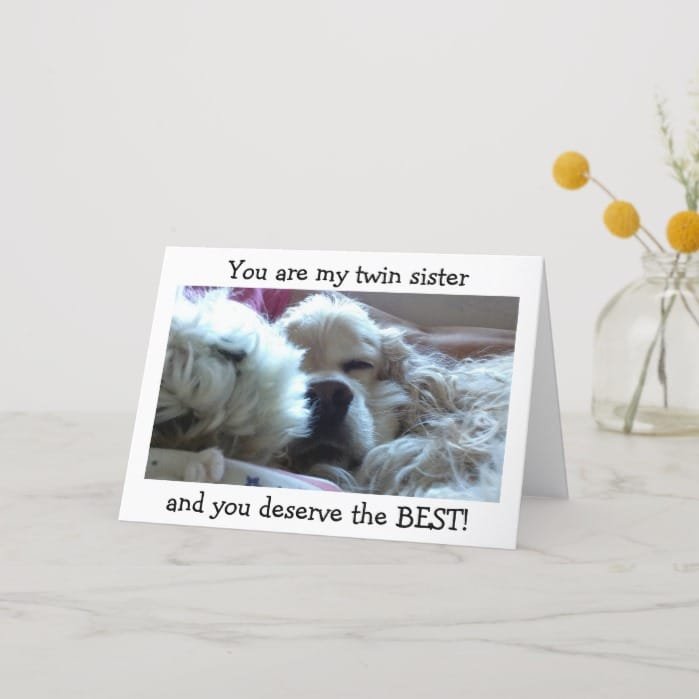 TWIN SIS=DESERVE BEST ON BIRTHDAY=ME AS YOUR TWIN CARD