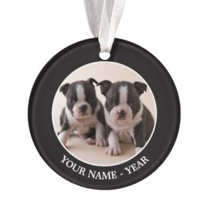 Two Boston Terrier Puppies Ornament