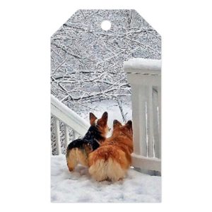 Two Corgis in Winter Gift Tags