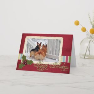 Two Welsh Corgis in the Snow with Holiday Frame