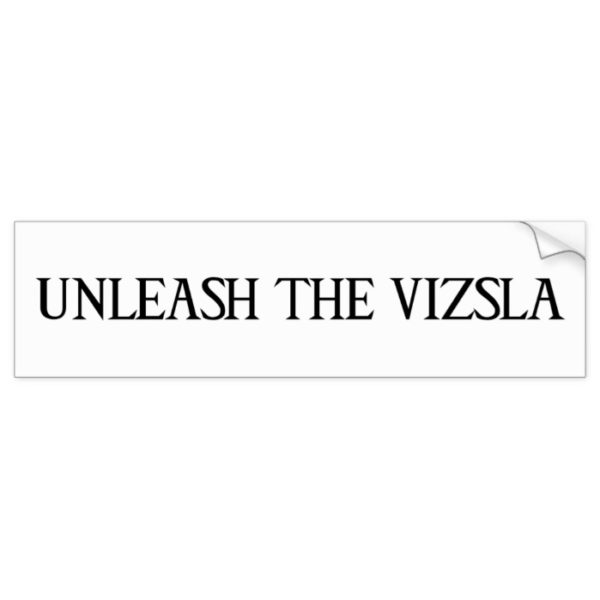 UNLEASH THE VIZSLA BUMPER STICKER