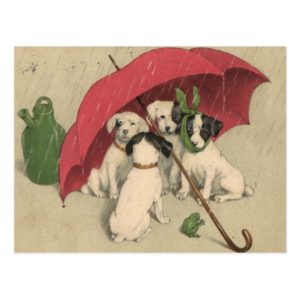 Vintage 4 Dogs Under Umbrella Postcard