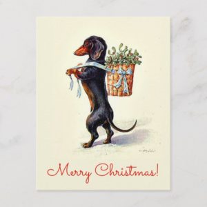 Vintage Christmas Dachshund dog Holiday Postcard