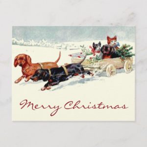 Vintage Christmas dachshund dogs n cats Holiday Postcard