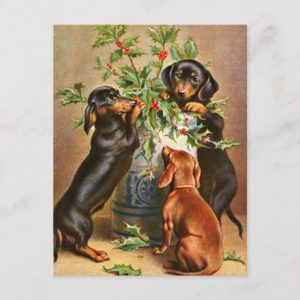 Vintage Christmas dachshunds and holly tree Holiday Postcard