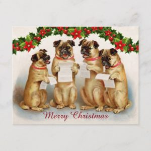 Vintage Christmas pugs singing carols Holiday Postcard