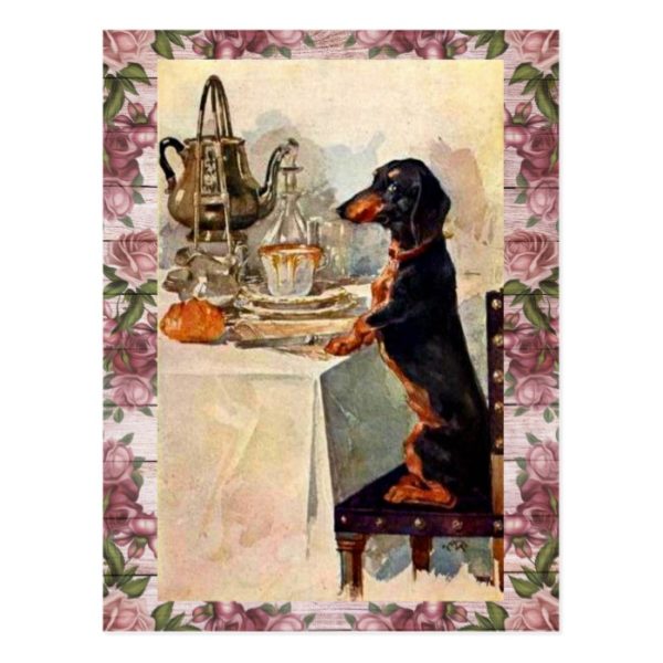 Vintage dachshund drinking tea postcard