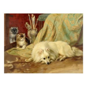 Vintage Pomeranian Dog Kittens Wright Barker Postcard