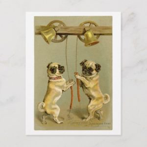 Vintage pugs Happy New Year Holiday Postcard
