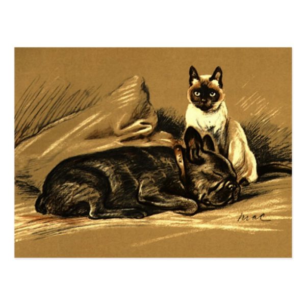 Vintage Siamese Cat and French Bulldog Postcard